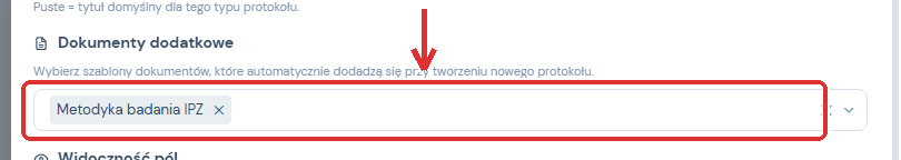 Sekcja Dokumenty dodatkowe w ustawieniach rodzaju protokołu.
